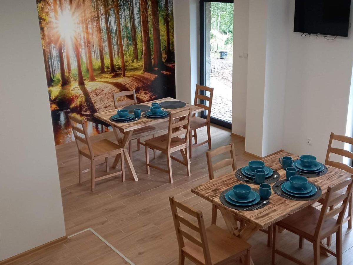Sowiogorska Ostoja Appartamento Jugów